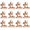 Bluelves Piccole Graffette di Carta Bulldog, 50 Pezzi Metallo Binder Clip, 22mm Clip di Bulldog, Oro Rosa Cerniera Clip per Foto, Cibo Snack Borse, Forniture per Ufficio (Oro rosa)