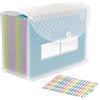 ABC life Cartella Portadocumenti Espandibile A4,26 Tasche Cartellina Porta Documenti con Motivo a Griglia, Organizzatore Da Scrivania, Multicolore Fisarmonica Faldoni per Ufficio Scuola Casa(Blu)