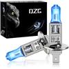 DZG-H1 Lampadine alogene - 12V 55W Faro lampade 5000K Bianco caldo Fendinebbia Lampadina DRL, 2 Pezzi