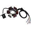 WOOSTAR Statore di Accensione Magneto 6 Bobina 5 Fili Sostituzione per GY6 Taotao 50cc 70cc 90cc 110cc 125cc Scooter Moped Go Kart ATV 4 Ruote Dirt Pit Bike