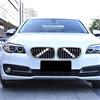 TZYSZDB DWVV-F20 F30 Inserti Griglia Accessori per BMW 2 3 Series 2012-2018, Inserti Griglia Anteriore Radiatore per 320i 328i 330i 335i(F20 F30, Bianco)