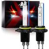 WinPower Hir2 / 9012 Lampadine allo xeno 55W HID Lampadina per auto Faro di ricambio Lampadina 8000K Blu ghiaccio, 2 Pezzi