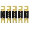 Mintice 5 X 250A Fusibile ANL Lame Auto Automobilistica Audio Energia Sicurezza Proteggere Tubo di Vetro Placcato Oro Protezione Adatto 0 2 4 Calibro