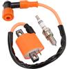 WOOSTAR Motociclo Bobina di Accensione con D8TC Candela Sostituzione per 4 Tempi 125cc 150cc 200cc 250cc ATV 4 Ruote Dirt Bike Go Kart Scooter Moped
