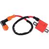 WOOSTAR Bobina di Accensione Sostituzione per CG 125cc 150cc 200cc 250cc ATV Dirt Pit Bike Go Kart Scooter Moped