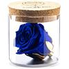 Amoroses Bijou - Rosa Stabilizzata Eterna con calice placcato oro 24K in barattolo di vetro | Idea Regalo (Rosa Blu Reale)