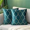 Hanrunsi Fodera per Cuscino Anatra Blu 40x40 Cuscini Decorativi per divani Blu Federe Morbidi Cuscini Decorativi in Velluto Verde Acqua per Soggiorno, Divano, Camera da Letto, Set di 2
