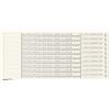 Leitz 61610001 - Strisce organizzative per cancelleria sospesa, scala 1+2, 100 pezzi, colore: Bianco