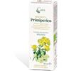 CAIRA LABORATORIO ERBORISTICO CAIRA PRIMIPERICO MACERATO IDROALCOLICO BIO GOCCE 50 ML