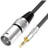 Tisino Cavo da mini jack a XLR da 3,5 mm sbilanciato da 1/8 AUX stereo a XLR maschio, cavo adattatore per microfono, 2 m