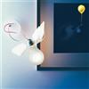 Ingo Maurer Lucellino NT LED Lampada Da Parete