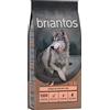 Briantos Senior Tacchino & Patate - senza cereali - Set %: 2 x 12 kg