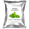 AL Ice-Cream 630 g Preparato per Granita alla Menta AL Ice-Cream