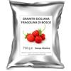AL Ice-Cream 750 g Preparato per Granita Siciliana alla Fragolina di Bosco AL Ice-Cream