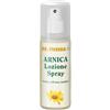 Naturwaren THEISS ARNICA SPRAY 100 ML