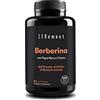 Zenement Berberina, 120 Capsule Vegane | Con Pepe Nero e Cromo per un migliore assorbimento | Il miglior estratto di Berberis Aristata | 500 mg | Senza Glutine | Zenement