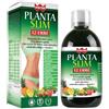 GDP SRL GENERAL DIET. PHARMA Winter Planta Slim 12 Erbe 500ml