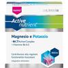 NATURWAREN ITALIA SRL Dr Theiss Active Nutrient Magnesio/Potassio 20 Bustine