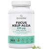 Bandini® Fucus Kelp Algae (Iodio Naturale 225mcg), 365 Compresse (Copertura 1 anno) 100% Vegane, Alga Bruna Titolata allo 0,1% in Iodio, Stimola il Metabolismo Energetico, Unghie, Capelli, Benessere