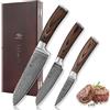 Wakoli EDIB Set di coltelli in acciaio damasco da 3 pezzi in confezione regalo di legno I Set di coltelli da cucina affilati in vero acciaio damasco a 67 strati con manico ergonomico in Pakkawood