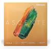 D'Addario Ascenté - Corde per viola, scala media, tensione media