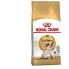 Royal Canin Siamese Cats Dry Food 2 kg Adult Poultry