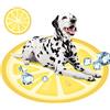 Mascow Tappeto rinfrescante per Cani di taglia media | 60x60 | Tappetino refrigerante per Animali per la Regolazione della Temperatura corporea | Materasso Arancia | Interno Esterno | Cuccia Divano Auto