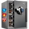 Master Lock LTW205GYC Cassaforte Ignifuga e Tenuta Stagna/Combinazione e Chiave, Ottima per Supporti Digitali, Gioielli, Portatile, 56L