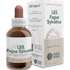 FORZA VITALE ITALIA Srl Les Fagus Silvatica Gocce Forza Vitale 50ml