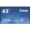 iiyama LH4370UHB-B1 43 Display