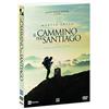 RAI CINEMA Il Cammino Per Santiago ( DVD)