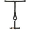 Haqihana srl Haqihana Pettorina ad H Nero in Nylon per Cani, xl