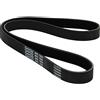 DAYCO 6PK1025 CINGHIA POLY-V COM.A-CZ NISSAN PRIMERA
