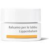 Dr Hauschka Dr. Hauschka Balsamo Labbra 4,5g Dr Hauschka Dr Hauschka