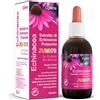 Optima Echinacea Estratto Junior 50ml Optima Optima