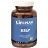 Lifeplan Products Ltd Algilife Alghe Marine Kelp 300 Tavolette Lifeplan Products Ltd Lifeplan Products Ltd