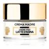 Lr Company Crema Madre Viso Latte Asina 50ml Lr Company Lr Company