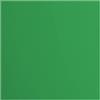 Vaessen Creative Cartoncino Florence Liscia - Materiali per Biglietti colorati 30,5 x 30,5 cm - Holly - 20 Fogli - Carta per Scrapbooking, Biglietti, Fustellatura e Progetti con Carta - 216 gsm - Verde