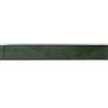 INNSPIRO Nastro decorativo verde con bordo nero 4 cm x 10 m.