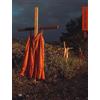 Skira World Press Photo 2022. Ediz. a colori