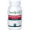 ERBA VITA GROUP SPA FUCUS 60CPS 500MG