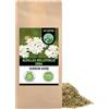 Alpi Nature Achillea Millefoglie Tisana 1kg, Achillea Millefoglie Secca e Tagliata