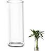 TSKDKIT Grande vaso di vetro per fiori 30 cm vaso di vetro trasparente rotondo per soggiorno moderno grande vaso (30 x 10 cm)