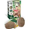 Science4you - Starter Kit di Uova di Dinosauro - Kit Scientifico per Scavare - Gioco di Paleontologia Con 2 Uova - Giocattolo Educativo per Bambini 5-9 Anni