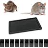 Repulseo® Trappola Adesiva per Topi e Ratti, Grandi Trappole con Colla Professionali, Cattura di roditori, ultra Appiccicoso (10 Piastre Adesive)