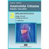 Anatomia umana. Atlante tascabile. 3: Sistema nervoso e organi di senso -  Werner Kahle, Michael Frotscher - Libro - Mondadori Store