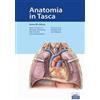 Anatomia umana. Atlante tascabile. 3: Sistema nervoso e organi di senso -  Werner Kahle, Michael Frotscher - Libro - Mondadori Store