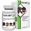 LEGART UP 30CPR