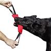 DINGO GEAR WWW.DINGOGEAR.COM 1977 Dingo Gear - Rimorchiatore in Nylon per addestramento Cani IGP & Fun, 2 Maniglie, Rosso, 28 x 7 cm