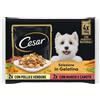 Cesar Dog Busta in Gelatina Multipack 4x100G MIX CARNE E VERDURA